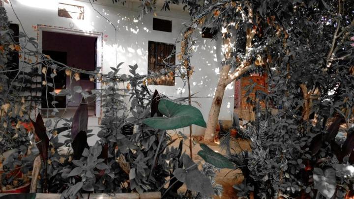 Hotel The Pushkar Flower Dış mekan fotoğraf