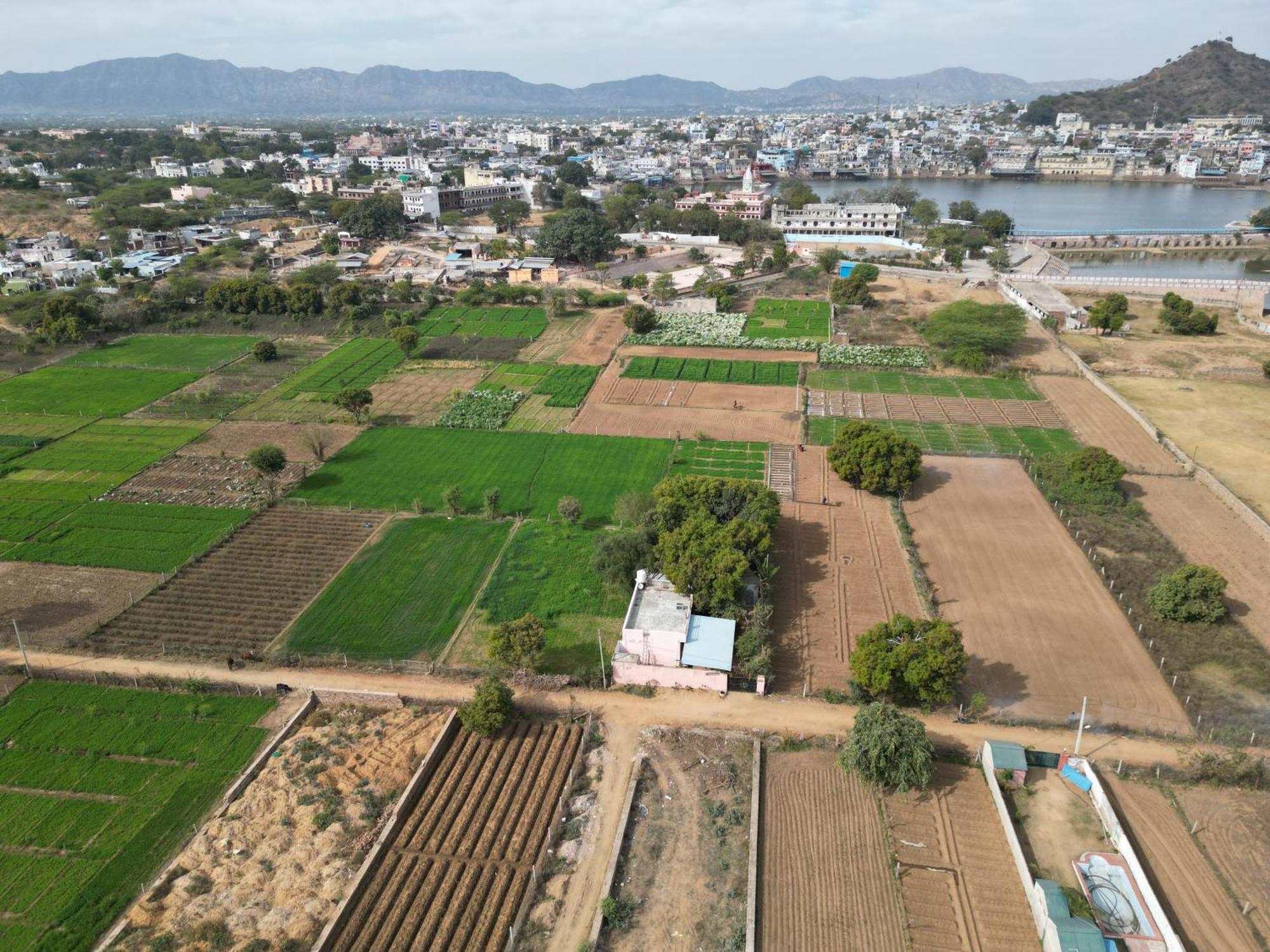 Hotel The Pushkar Flower Dış mekan fotoğraf